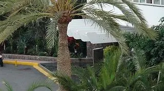 Hotel Riu Papayas Playa del Inglés 4*,